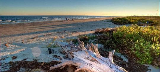 Galveston Island State Park campground