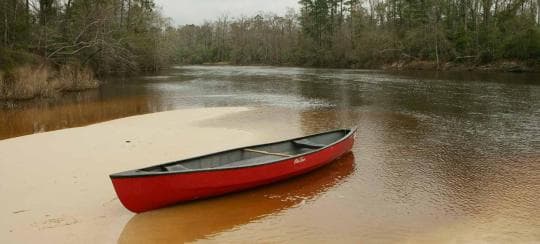 Village Creek State Park campground