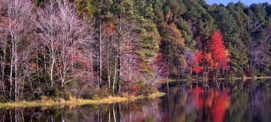 Daingerfield State Park campground