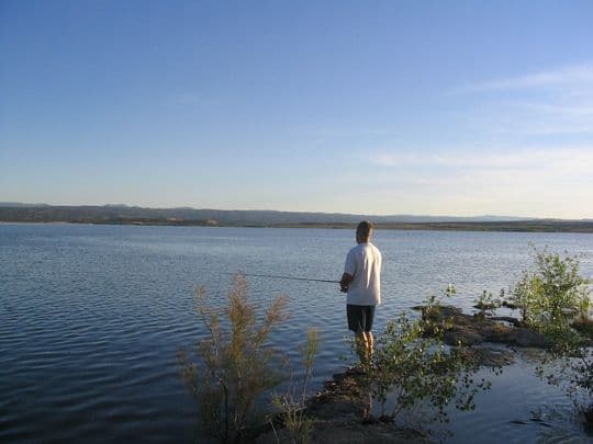 Fred Hayes State Park at Starvation campground