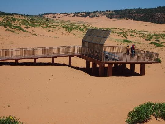 Coral Pink Sand Dunes State Park Campground in Utah