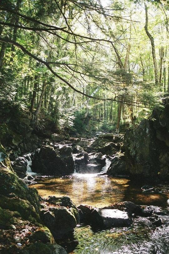 Gifford Woods State Park campground