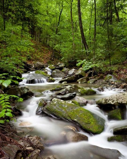 Townshend State Park campground