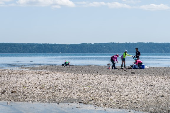 Dosewallips State Park campground