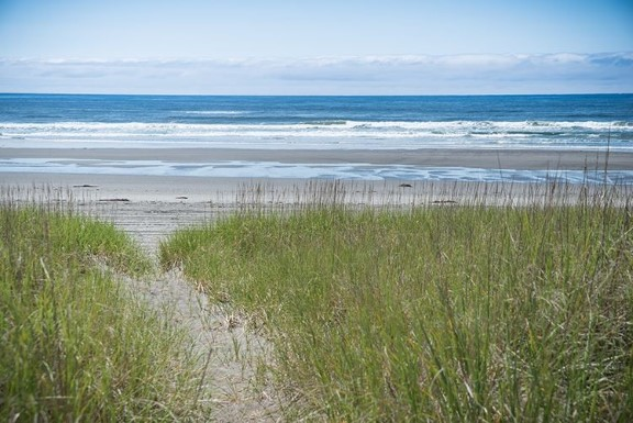 Twin Harbors State Park campground