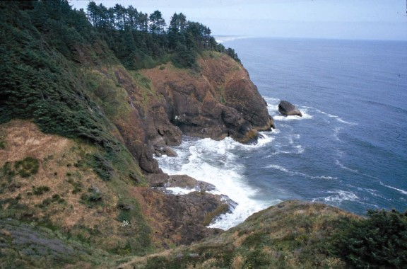 Cape Disappointment State Park campground