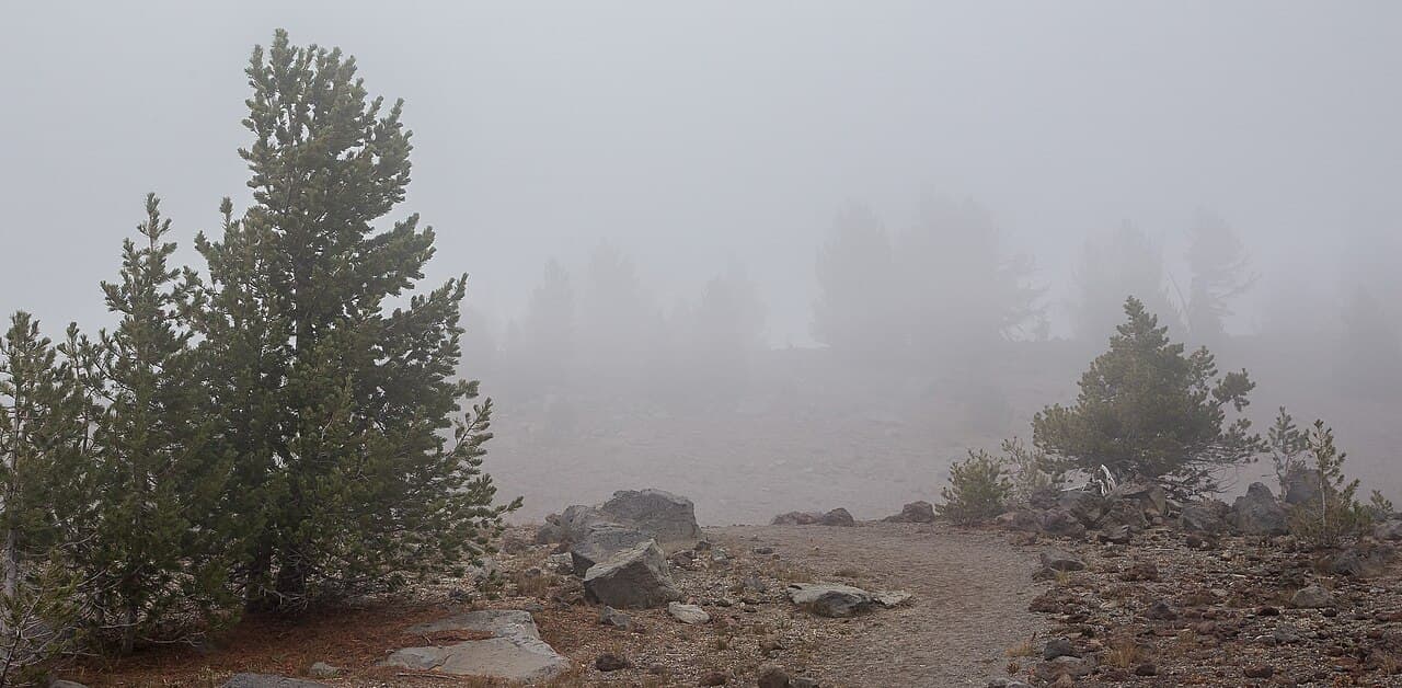 Central Cascades Day-Use — Tam McArthur Rim wilderness permit area in Central Cascades Wilderness - backcountry hiking destination