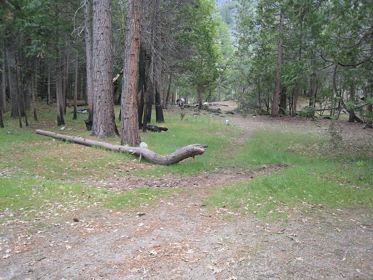 Yosemite Wilderness Permit — Rancheria Falls (Hetch Hetchy) wilderness permit area in Yosemite National Park - backcountry hiking destination