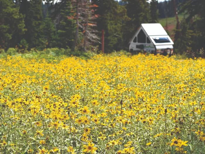 POINT SUPREME CAMPGROUND campground in Utah