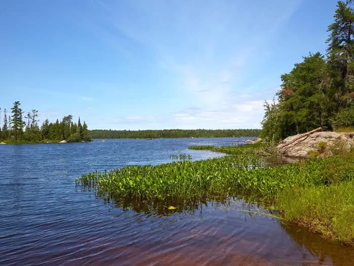 JEANETTE LAKE campground