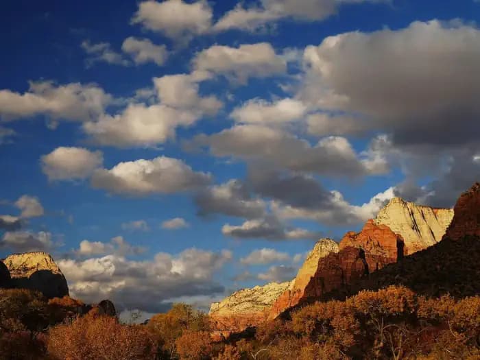 WATCHMAN CAMPGROUND campground in Utah