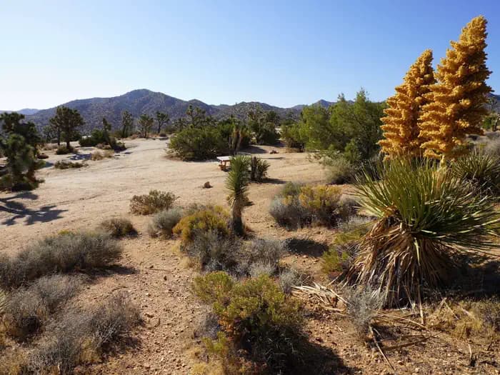 Black Rock Campground in California