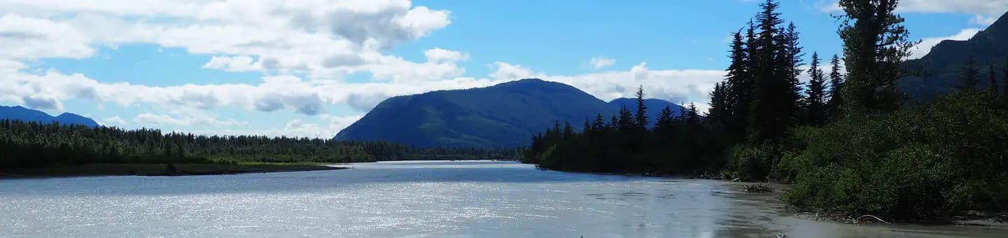 TWIN LAKES CABIN (AK) campground