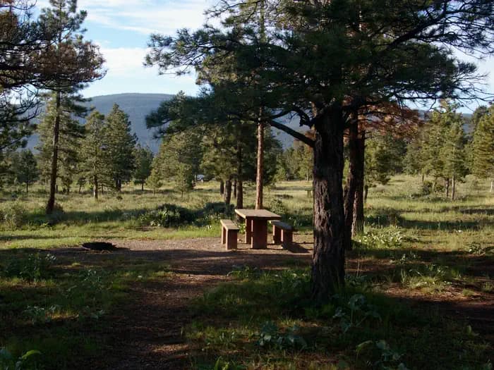 CANYON RIM campground