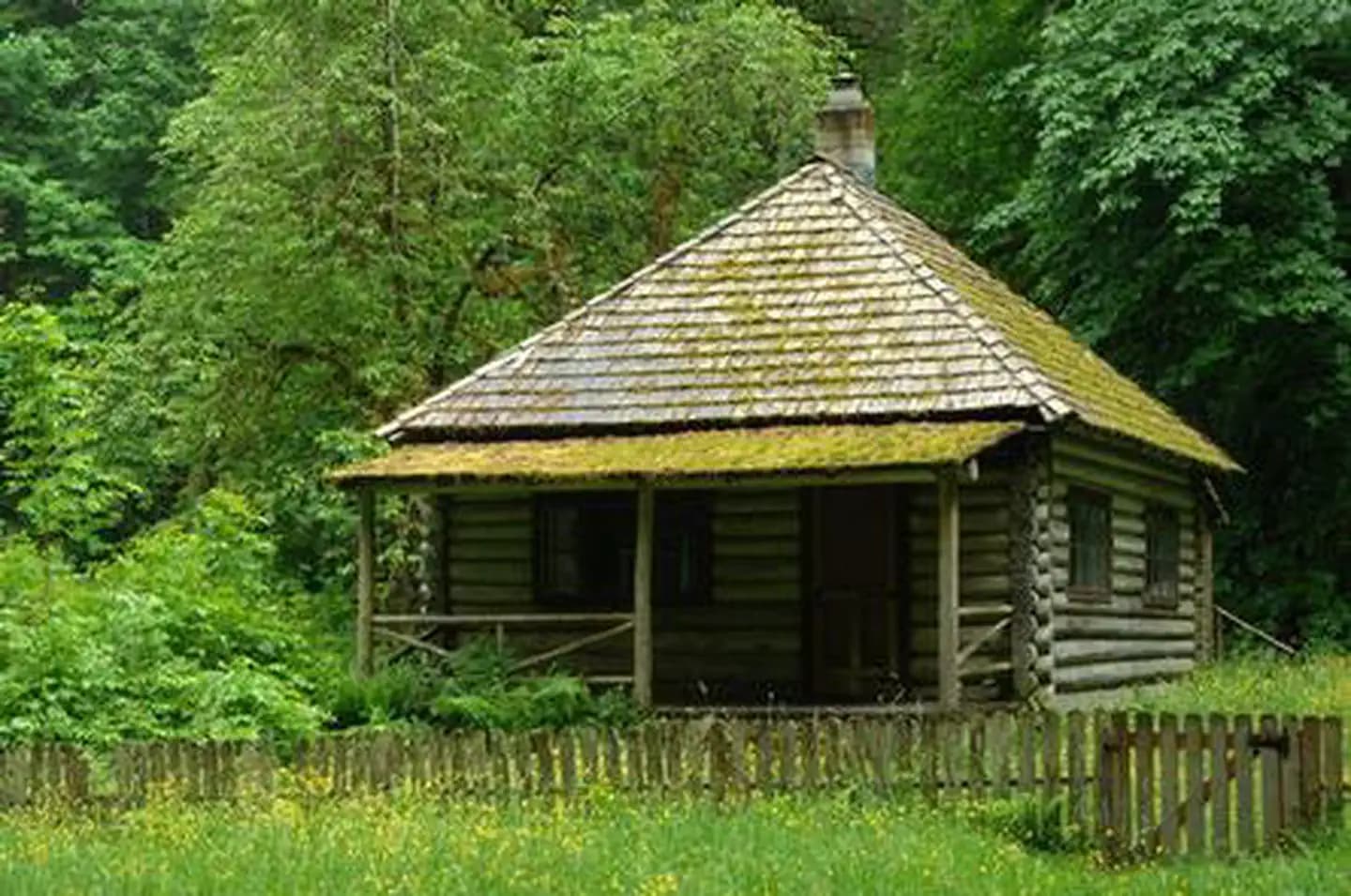 INTERROREM CABIN campground