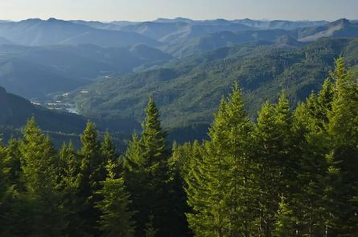 LAKE OF THE WOODS LOOKOUT campground in Oregon