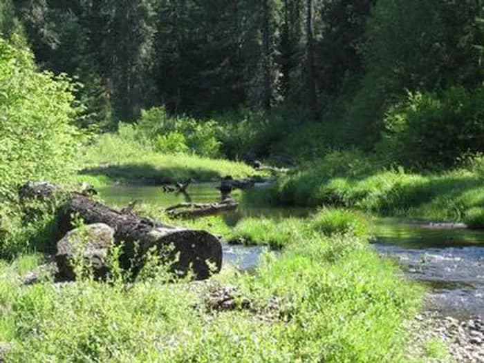 JIM CREEK GROUP CAMPGROUND campground in Oregon