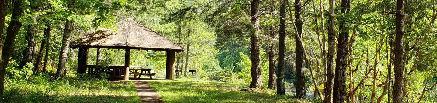 Canton Creek Campground in Oregon