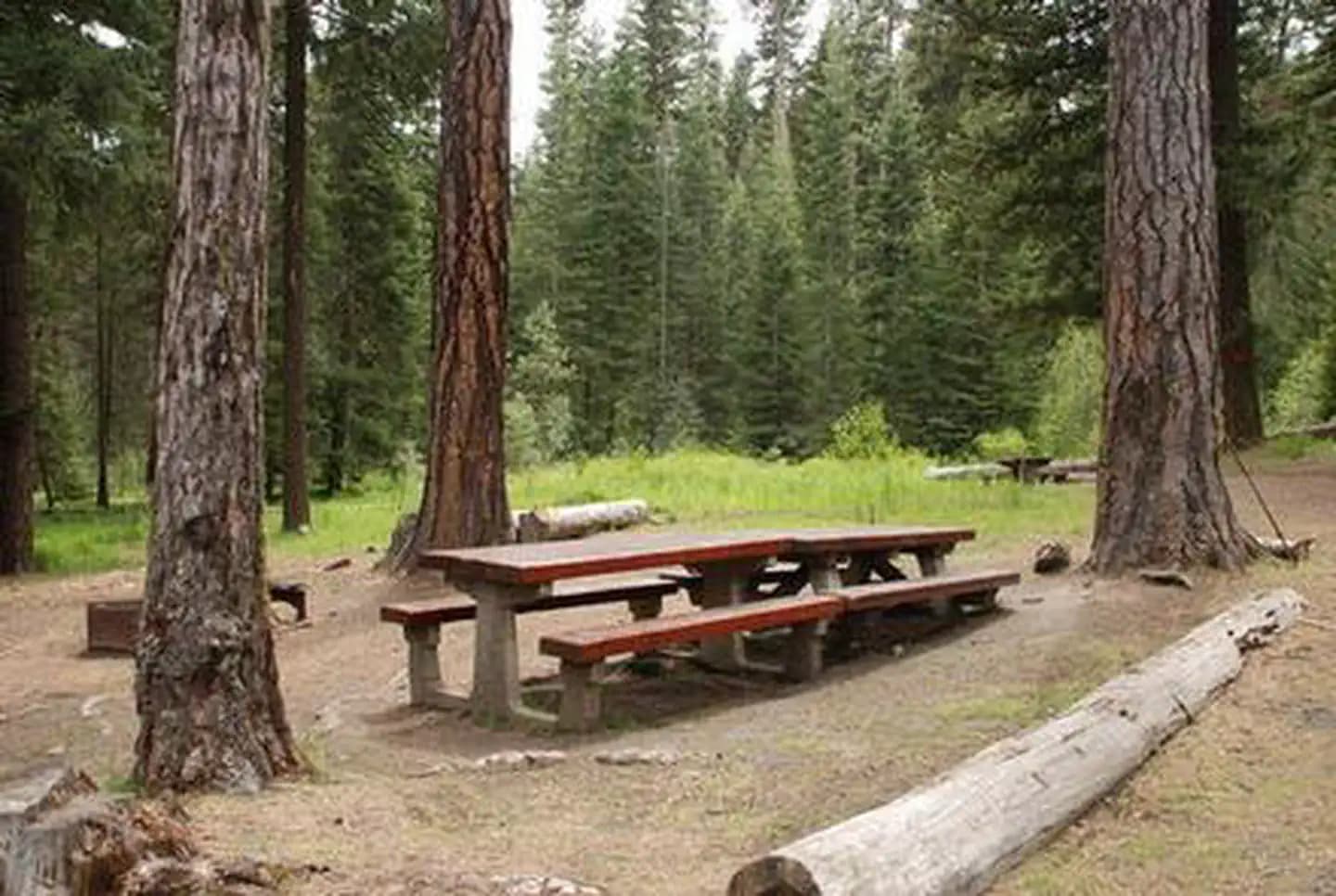 MINERAL SPRINGS GROUP campground in Washington