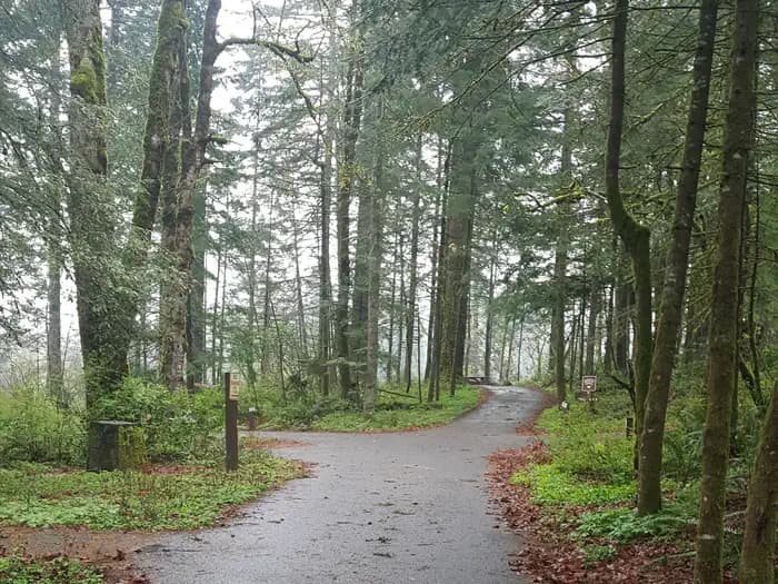 Eagle Creek Campground in Oregon