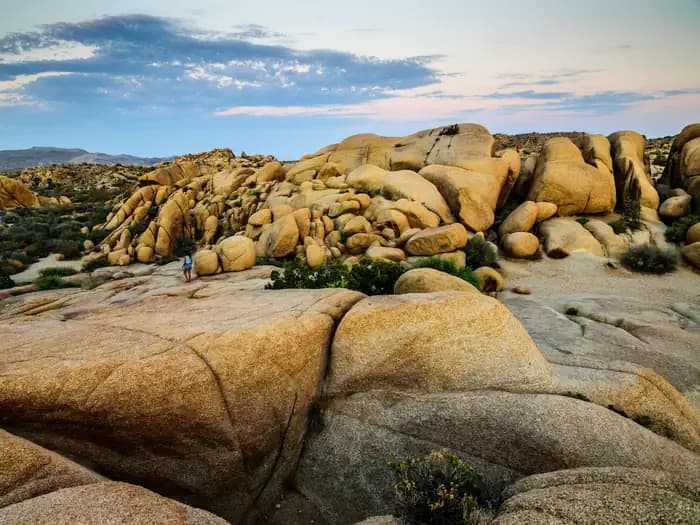 JUMBO ROCKS CAMPGROUND campground