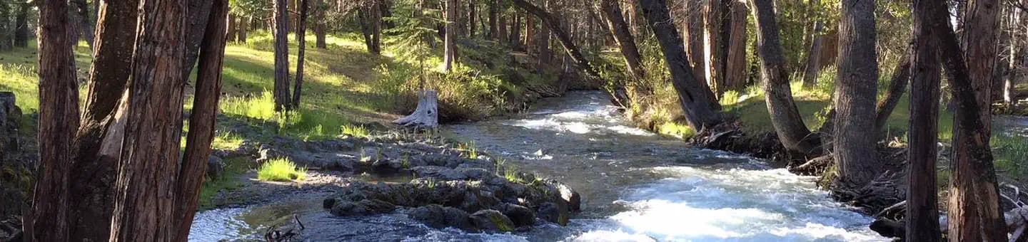 HAT CREEK campground