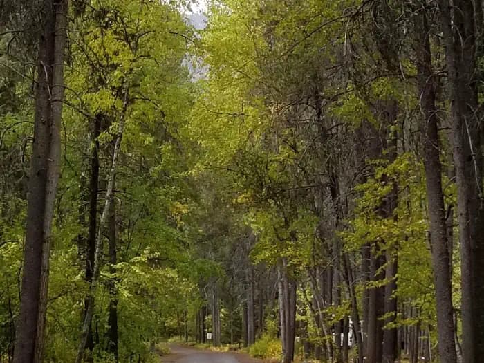 APGAR GROUP SITES campground