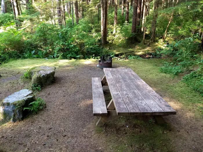 Starrigavan Campground and Day Use in Alaska