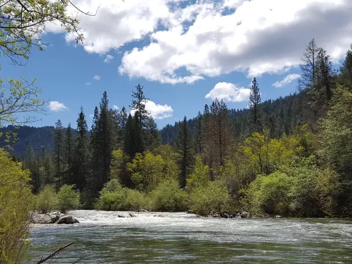 FIDDLE CREEK campground in California