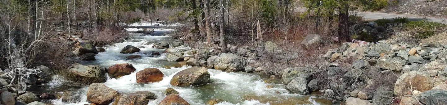 SALMON CREEK campground in California