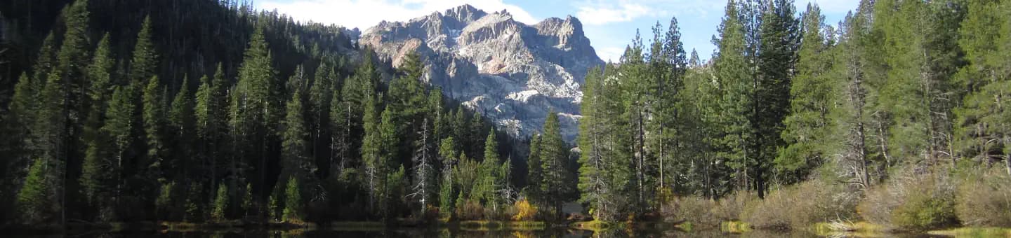 Sardine Lake Campground in California