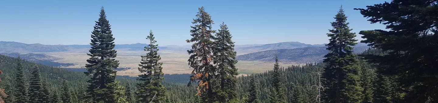 YUBA PASS CAMPGROUND campground in California