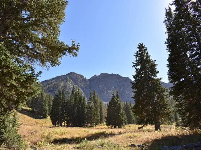 ALBION BASIN campground in Utah