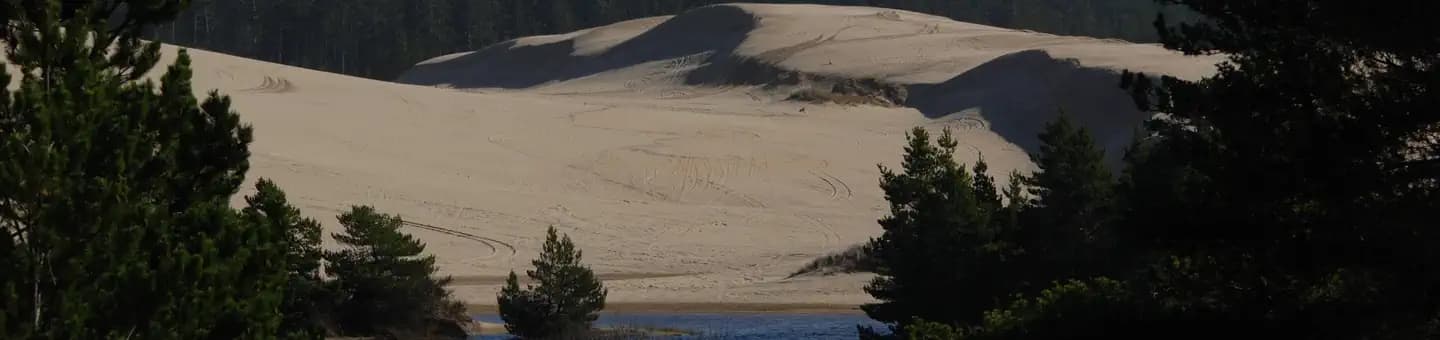 SPINREEL SAND CAMPING campground in Oregon