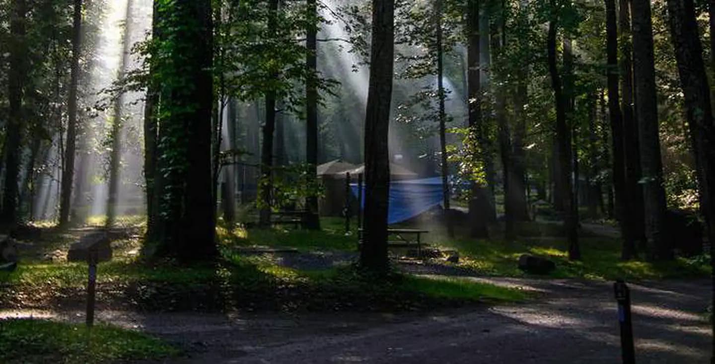 ABRAM'S CREEK CAMPGROUND campground