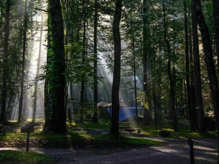 Elkmont Campground in Tennessee