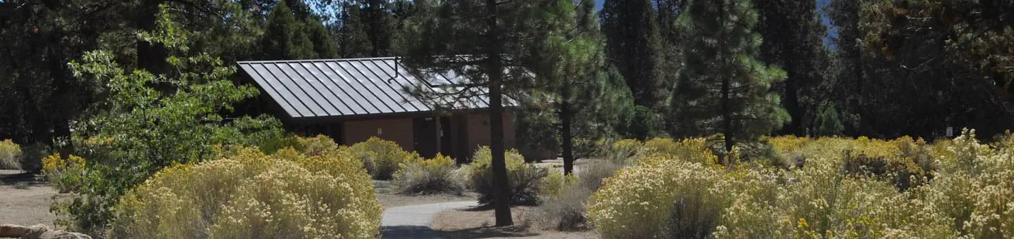 SERRANO campground in California