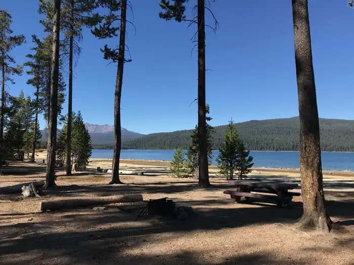 Contorta Flat Campground campground