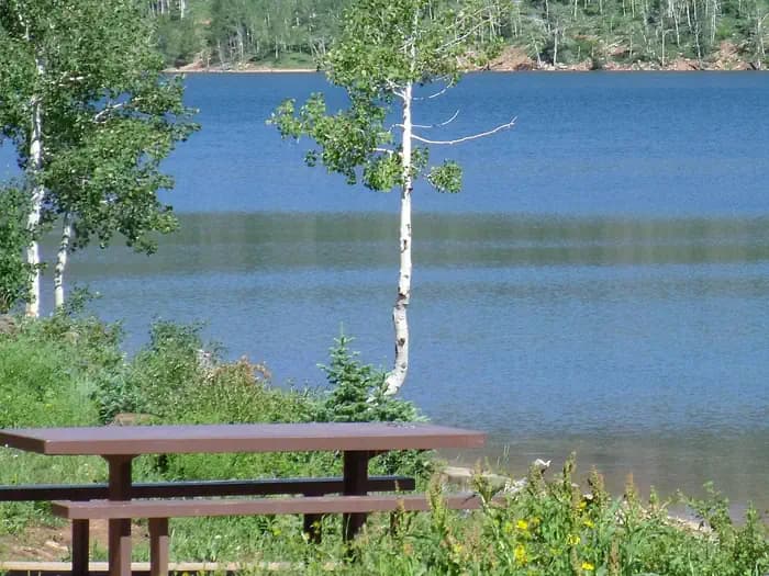 SPRUCES CAMPGROUND (DIXIE NF) campground in Utah