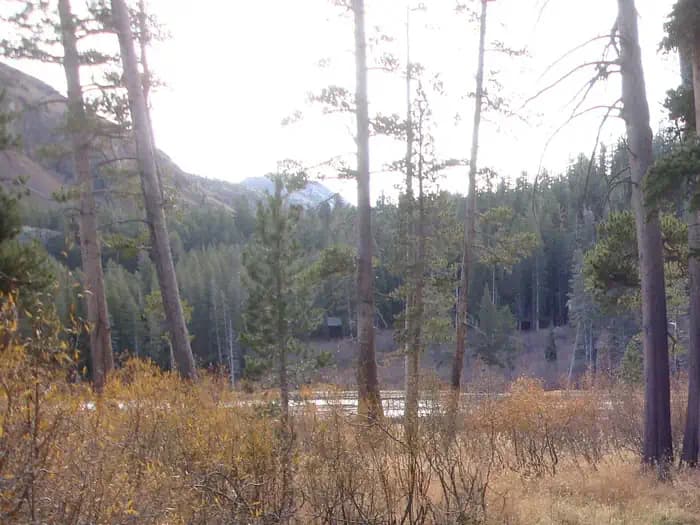 TWIN LAKES CAMPGROUND campground in California
