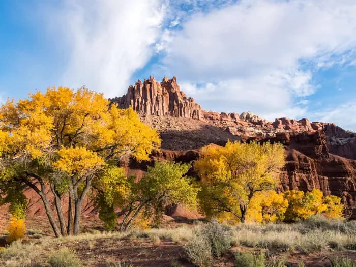 FRUITA CAMPGROUND campground in Utah
