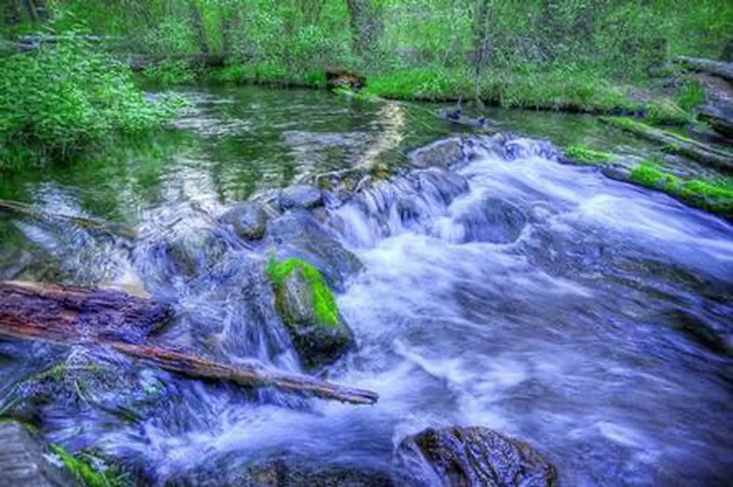 CANDLE CREEK CAMPGROUND campground in Oregon