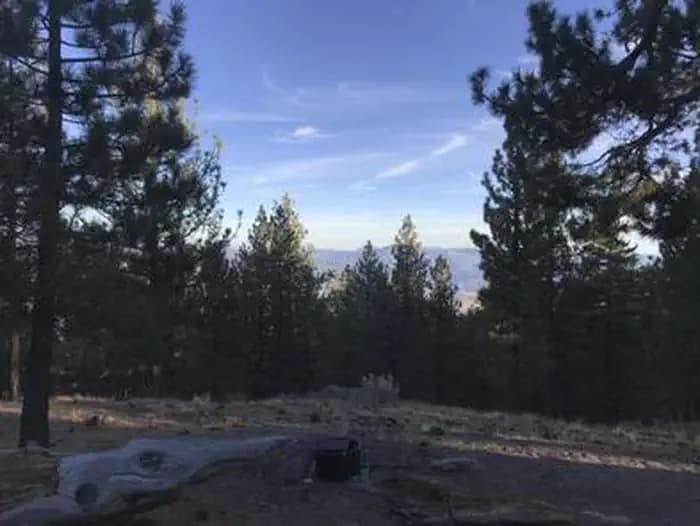 Mt. Pinos Campground in California