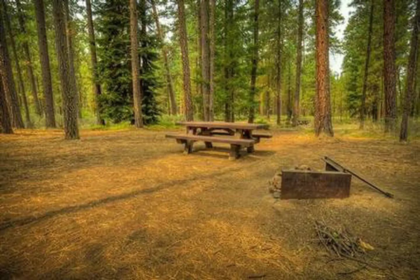 Riverside Campground (Deschutes National Forest, OR) campground