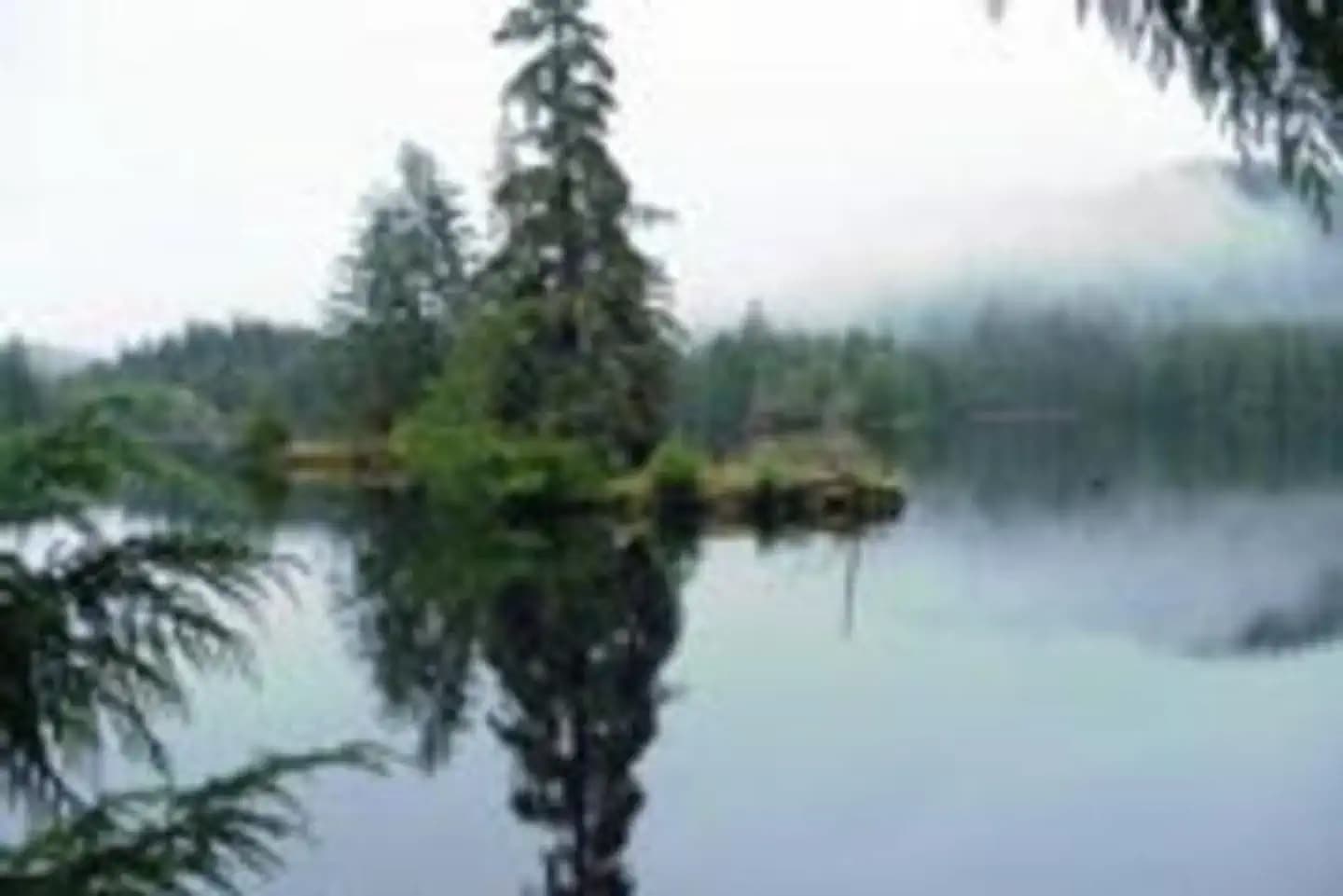 SARKAR LAKE CABIN campground