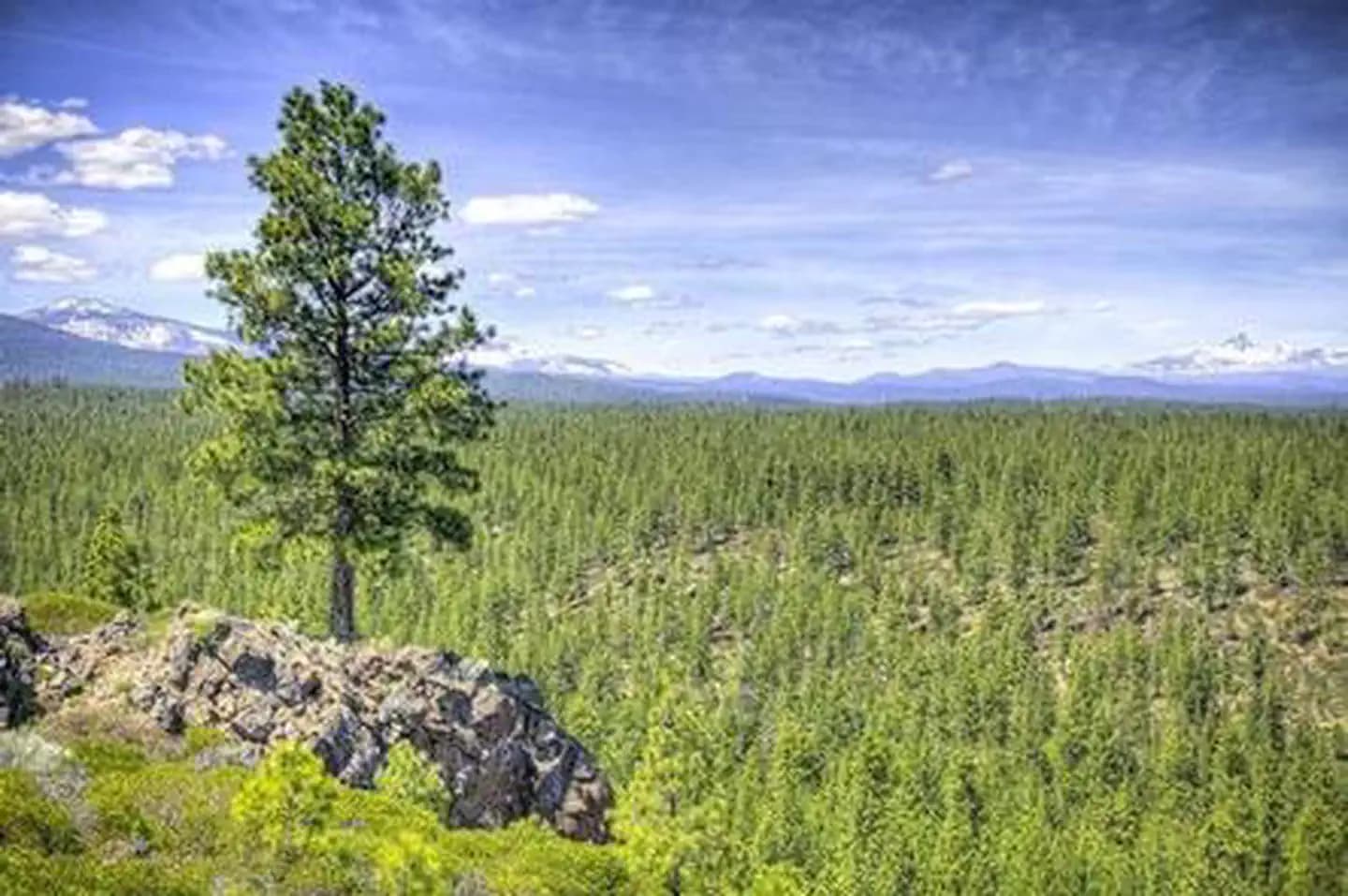 THREE CREEKS LAKE CAMPGROUND campground in Oregon