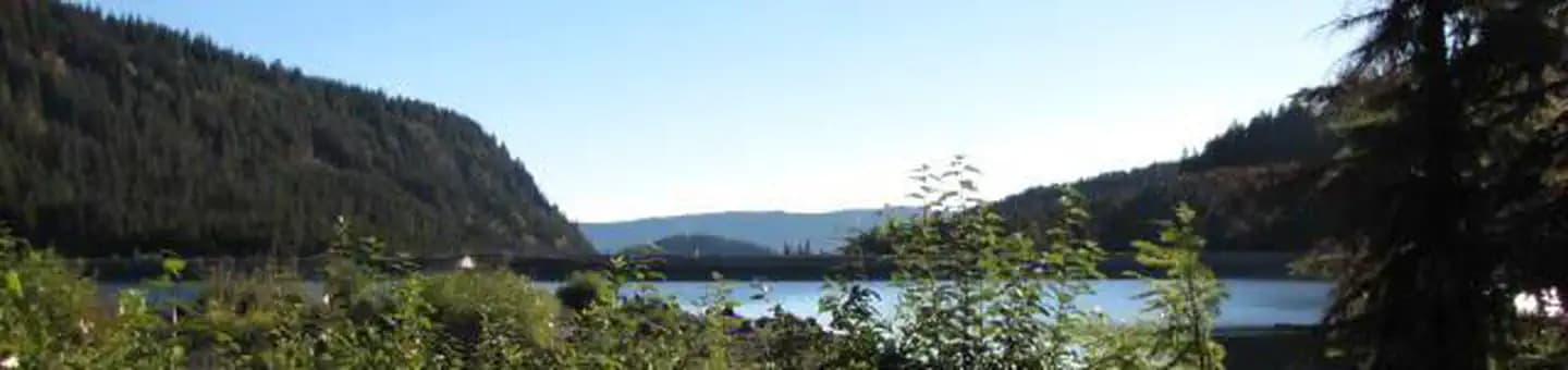Kinnikinnick (Laurance Lake) Campground campground in Oregon