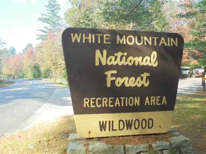 Wildwood campground