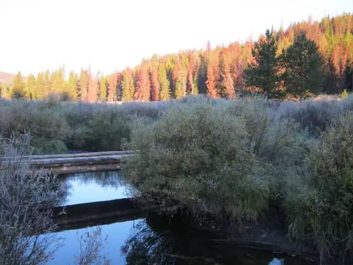 May Creek Cabin in Montana