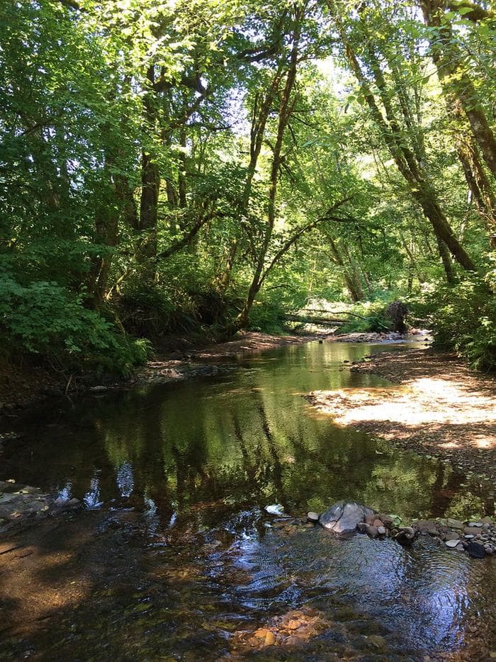 Whittaker Creek Recreation Site campground in Oregon